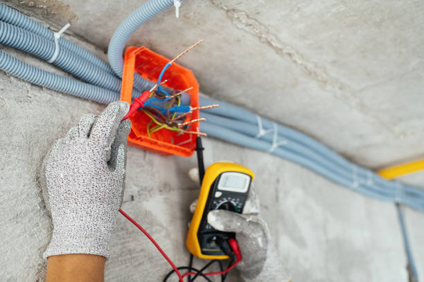 Best Electric Panel Repair  in Gorman, TX